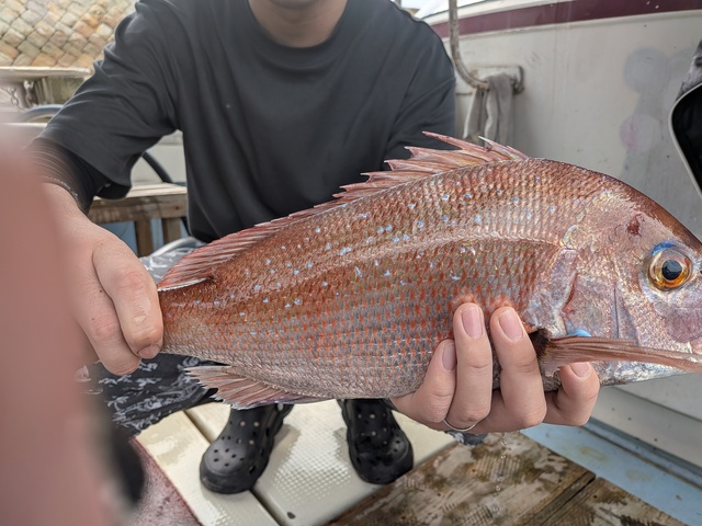 クリックで画像の拡大・縮小ができます 0001214