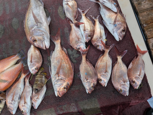 クリックで画像の拡大・縮小ができます 0001214