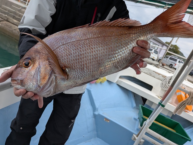 クリックで画像の拡大・縮小ができます 0001215