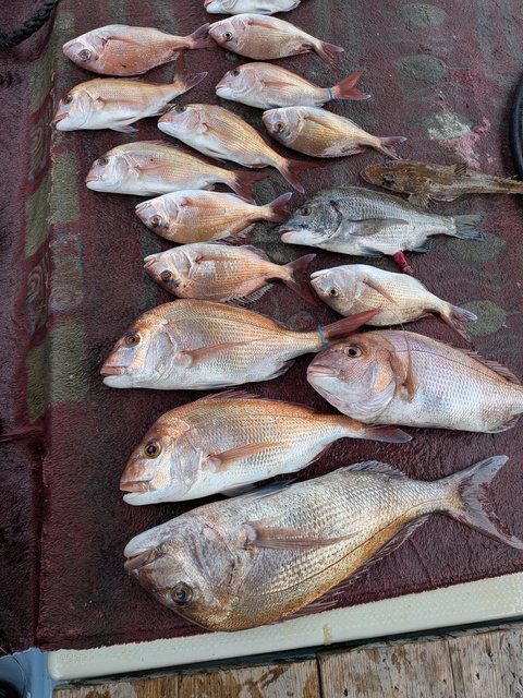 クリックで画像の拡大・縮小ができます 0001215