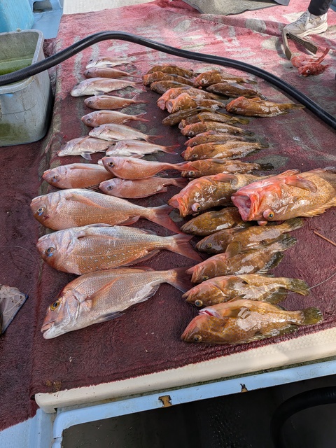 クリックで画像の拡大・縮小ができます 0001216