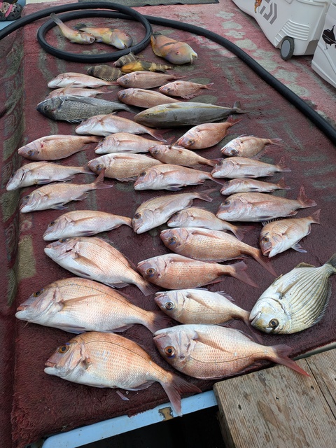 クリックで画像の拡大・縮小ができます 0001218