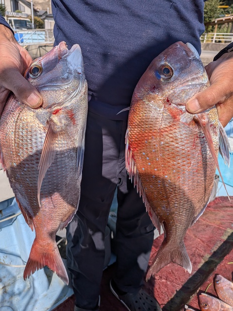 クリックで画像の拡大・縮小ができます 0001219