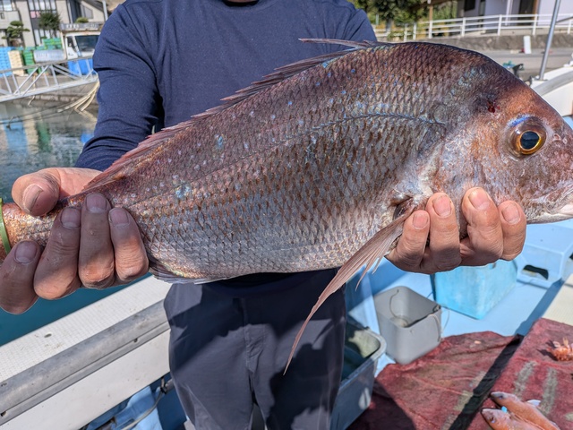 クリックで画像の拡大・縮小ができます 0001219