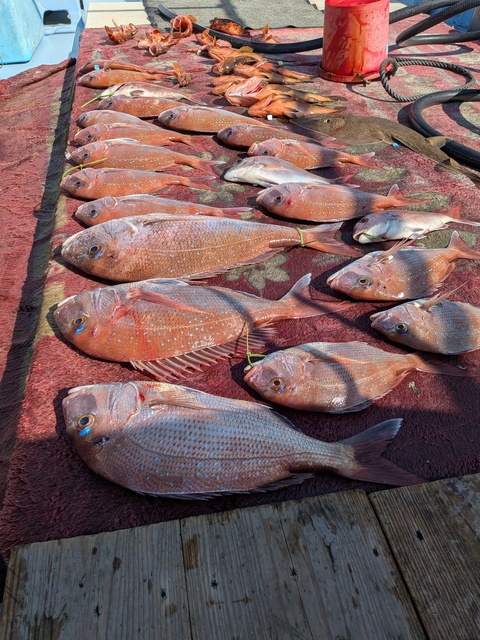 クリックで画像の拡大・縮小ができます 0001219