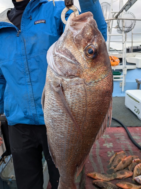 クリックで画像の拡大・縮小ができます 0001220