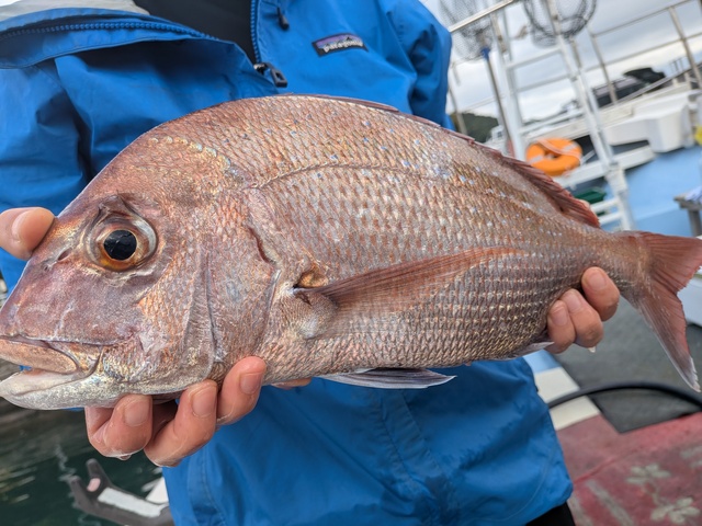 クリックで画像の拡大・縮小ができます 0001220