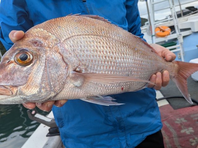 クリックで画像の拡大・縮小ができます 0001220