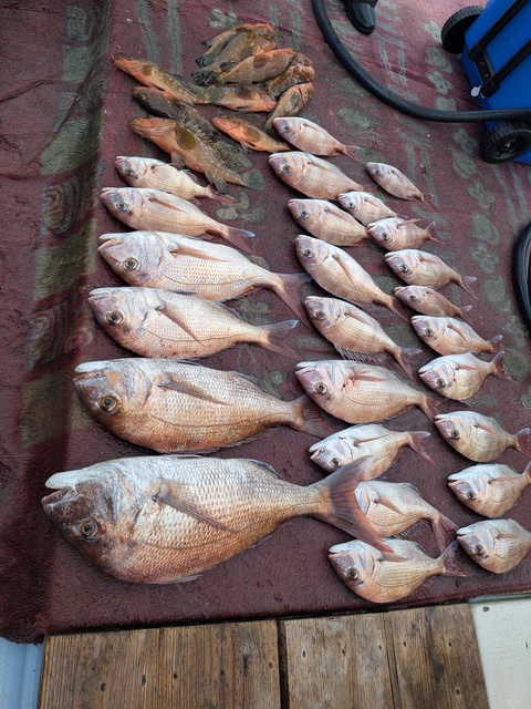 クリックで画像の拡大・縮小ができます 0001220