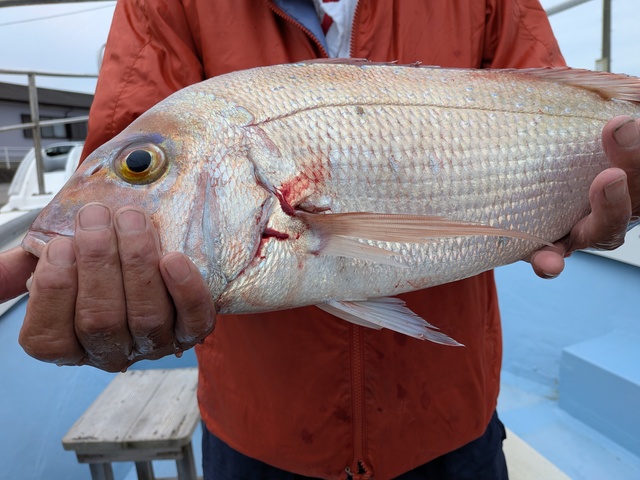 クリックで画像の拡大・縮小ができます 0001221