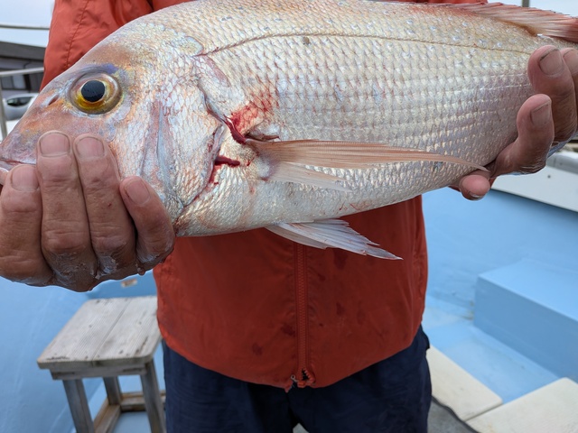 クリックで画像の拡大・縮小ができます 0001221