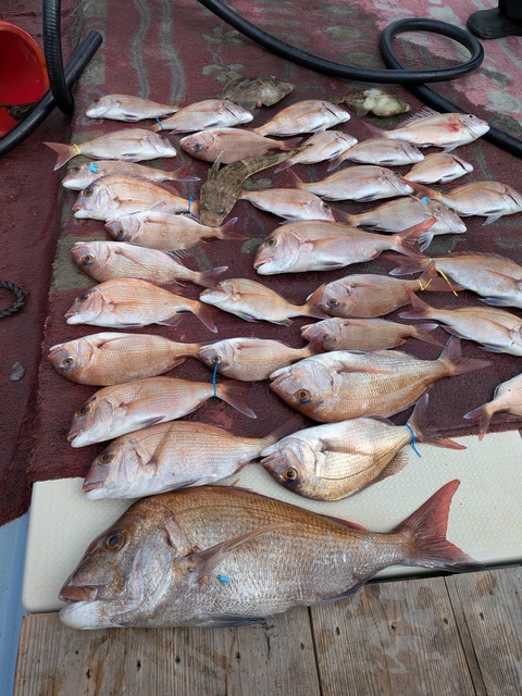 クリックで画像の拡大・縮小ができます 0001223