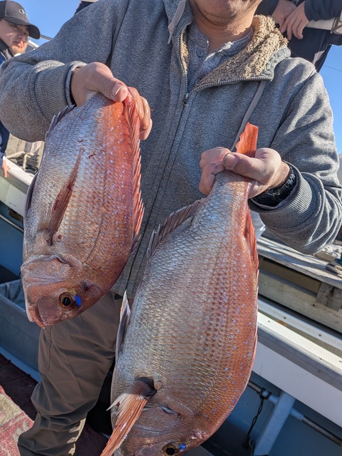 クリックで画像の拡大・縮小ができます 0001224