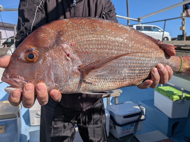 クリックで画像の拡大・縮小ができます 0001224