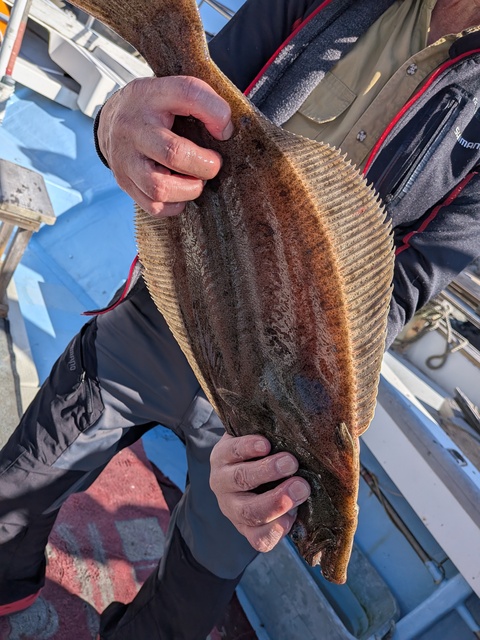 クリックで画像の拡大・縮小ができます 0001225