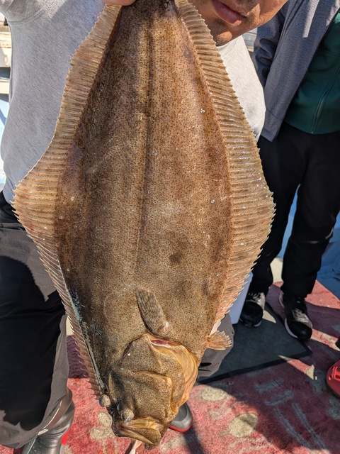 クリックで画像の拡大・縮小ができます 0001225