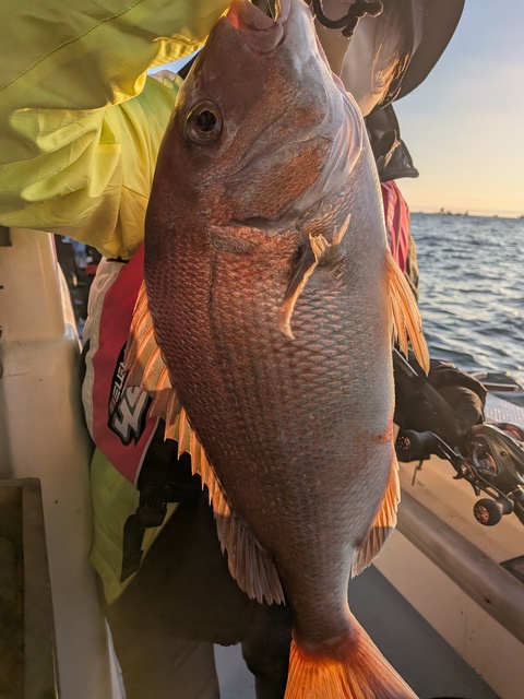 クリックで画像の拡大・縮小ができます 0001225