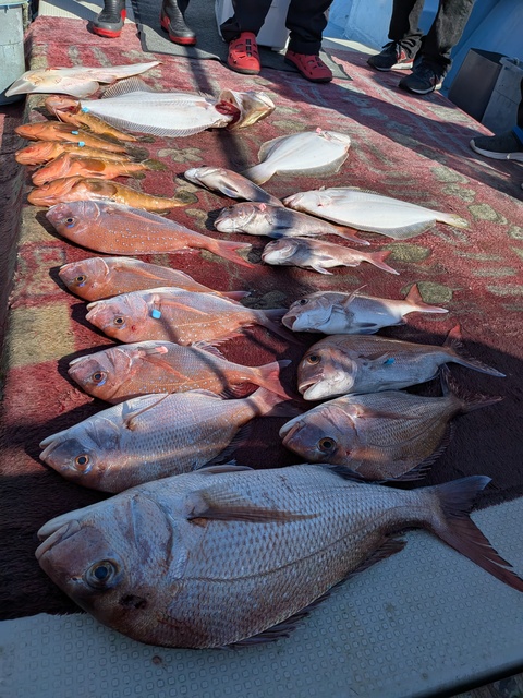 クリックで画像の拡大・縮小ができます 0001225