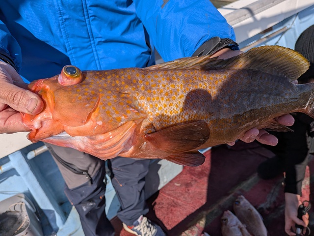 クリックで画像の拡大・縮小ができます 0001226