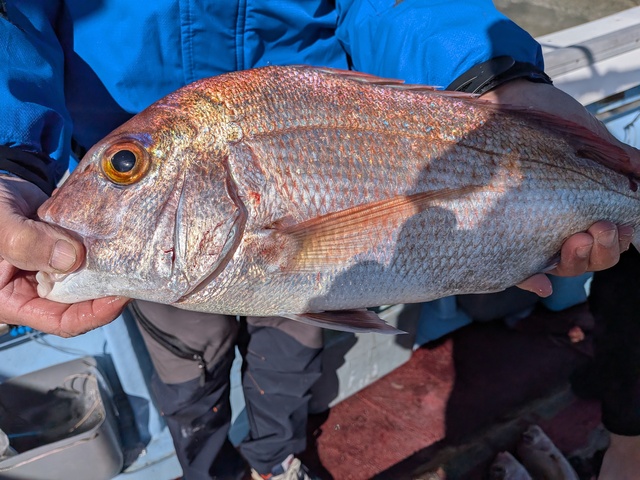 クリックで画像の拡大・縮小ができます 0001226
