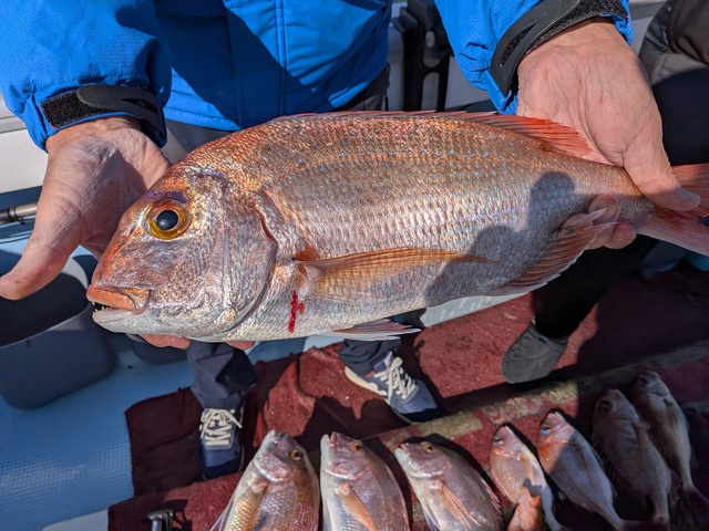 クリックで画像の拡大・縮小ができます 0001226