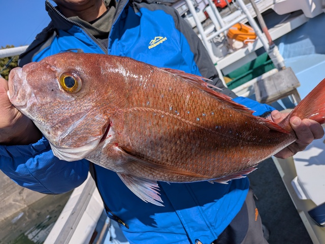 クリックで画像の拡大・縮小ができます 0001226