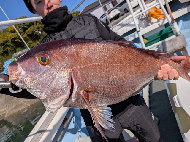クリックで画像の拡大・縮小ができます 0001226