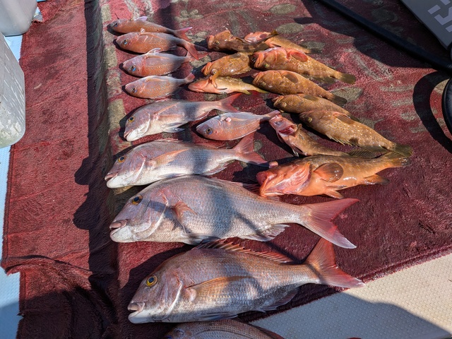 クリックで画像の拡大・縮小ができます 0001226