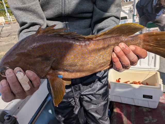 クリックで画像の拡大・縮小ができます 0001227