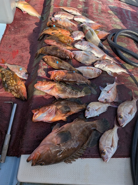 クリックで画像の拡大・縮小ができます 0001227