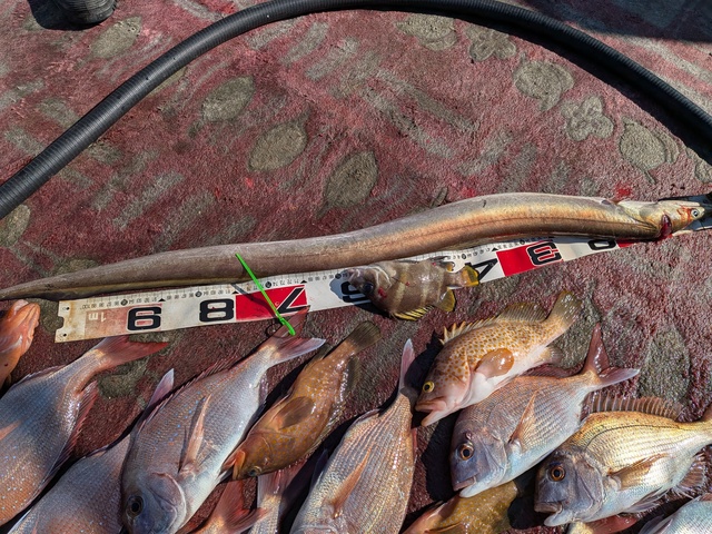 クリックで画像の拡大・縮小ができます 0001229