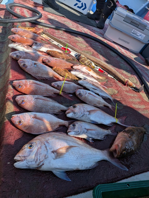 クリックで画像の拡大・縮小ができます 0001229